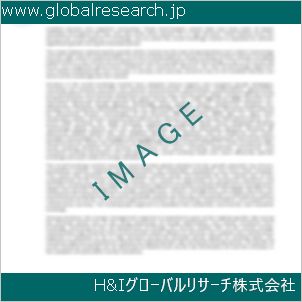グローバルリサーチ調査資料のイメージ